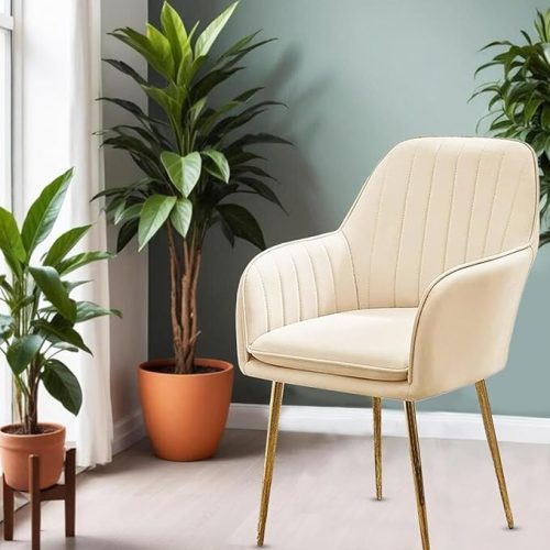 Elegant beige velvet dining chair with golden legs near indoor plants